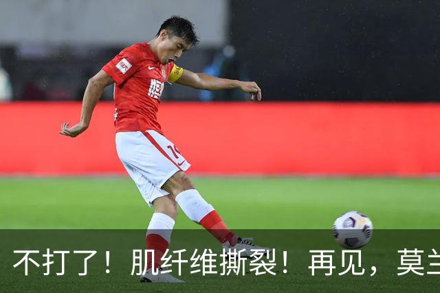 不打了！肌纤维撕裂！再见，莫兰特