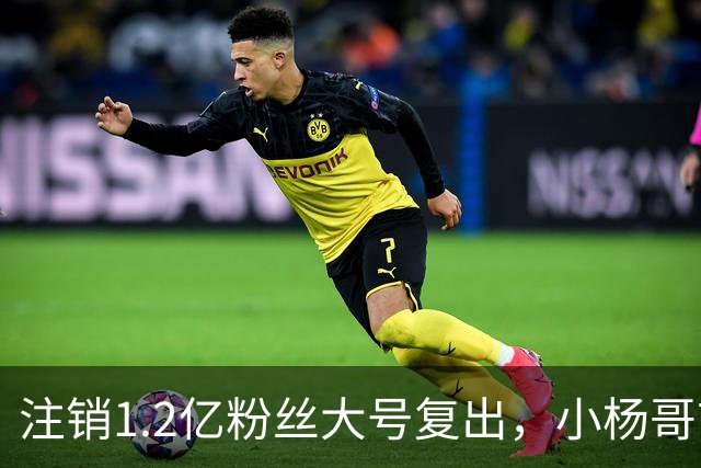 注销1.2亿粉丝大号复出，小杨哥首秀5分钟只有1700人看完