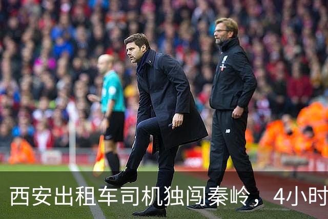 西安出租车司机独闯秦岭，4小时山路，竟被捡栗子大姐轻松碾压！